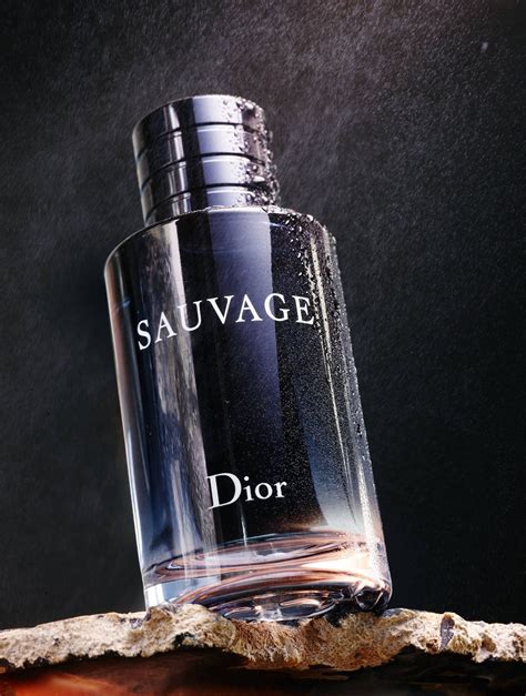 cologne similar to dior sauvage|cologne better than dior sauvage.